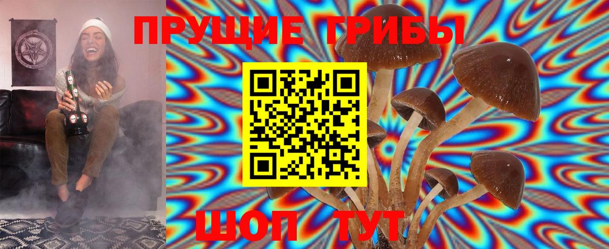 Псилоцибиновые грибы мицелий Тулун