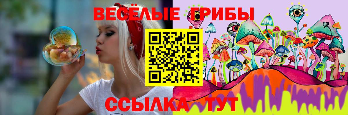 Псилоцибиновые грибы ЛСД  Вход с VPN  Тулун 